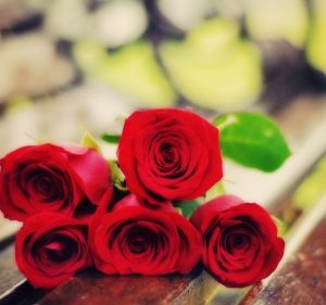 Spring 2018 Tribute Gifts