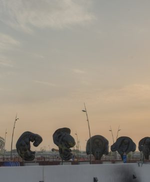 The Miraculous Journey