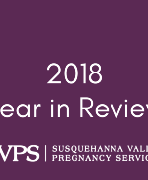 2018 SVPS Pregnancy Services in Review