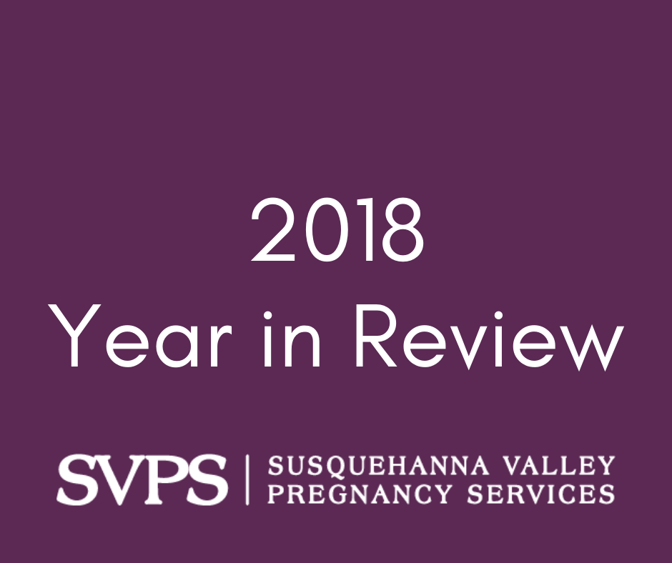 2018 SVPS Pregnancy Services in Review