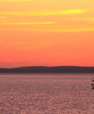 Fall 2018 Tribute Gifts