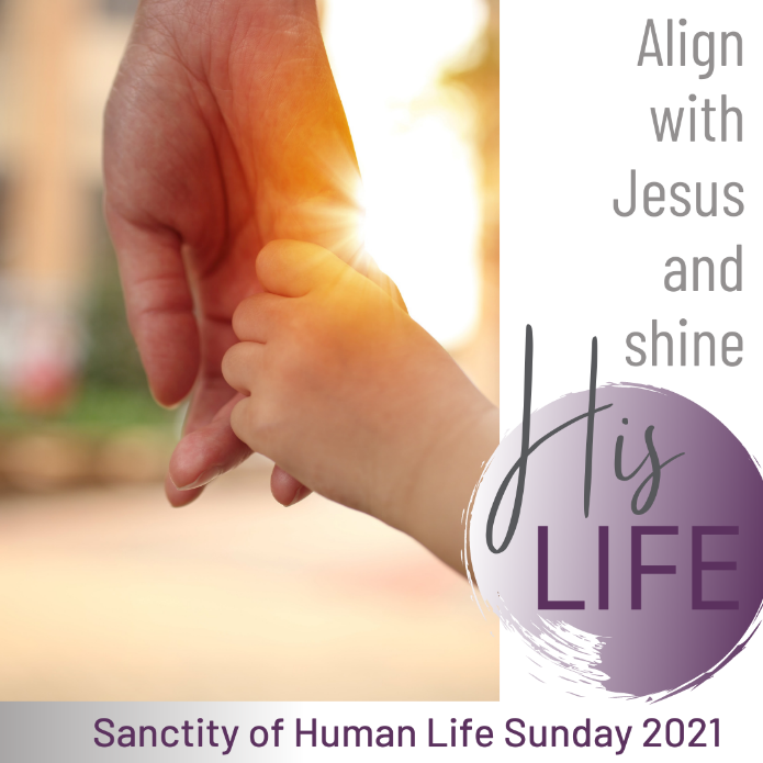 To Help You Celebrate the Sacredness of Human Life