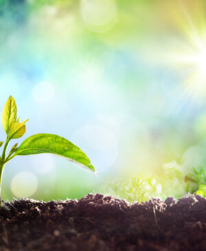 Latest From Align Since SCOTUS Abortion Ruling