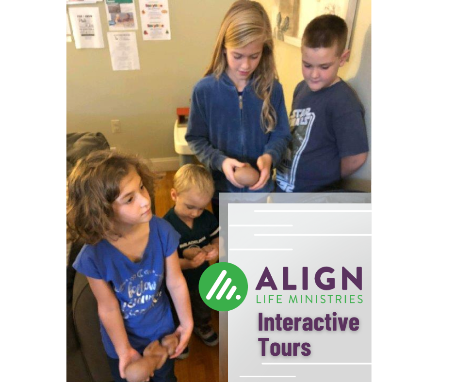 Interactive Family Tours: Align Pregnancy Services